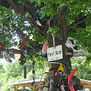 Picture 034